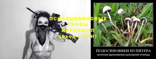 мдпв Абинск
