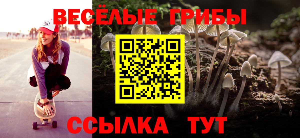 Новоалександровск  Галлюциногенные грибы мицелий  Вход с VPN 